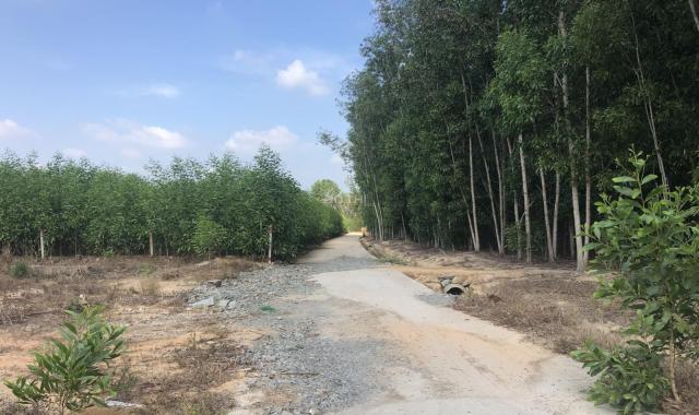 Bán đất Ấp 5 Xã Phước Bình 1357m2, Huyện Long Thành