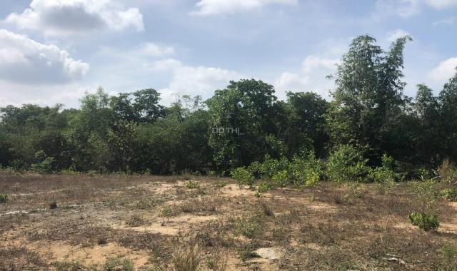 Bán đất Ấp 5 Xã Phước Bình 1357m2, Huyện Long Thành