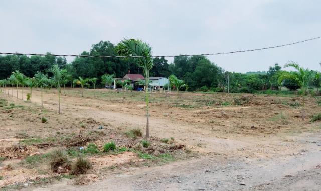 Bán đất tại Phố Phan Đăng Lưu, Phường Long Bình, Biên Hòa, Đồng Nai diện tích 150m2, giá 329 triệu