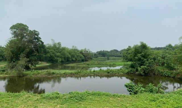 Cần bán lô đất siêu rẻ đẹp sát cạnh hồ Đồng Sương tại Lương Sơn - Hoà Bình. Giá đầu tư