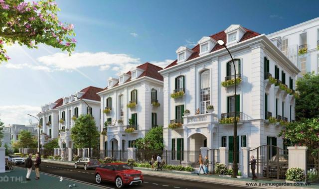 Chuẩn bị mở bán shophouse Avenue Garden, mặt đường 60m, kí hđmb luôn, giá 250 tr/m2, dt 147m2