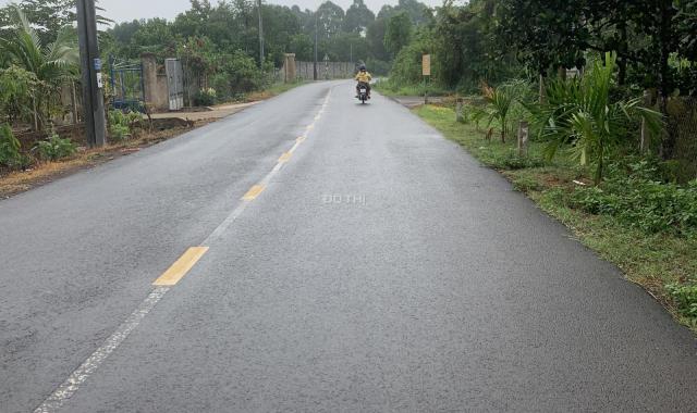 Bán gấp 7 sào đất đẹp và giá ngộp tại ấp Ruộng Tre Xã Bảo Quang, Long Khánh, Đồng Nai