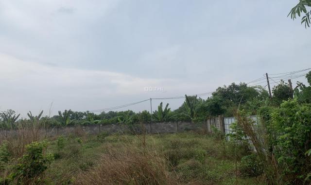 Bán gấp 7 sào đất đẹp và giá ngộp tại ấp Ruộng Tre Xã Bảo Quang, Long Khánh, Đồng Nai