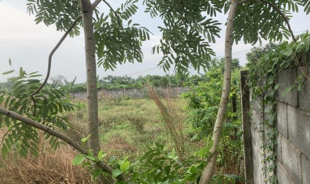 Bán đất đẹp có 2 mặt tiền dài 150m tại ấp Ruộng Tre, Xã Bảo Quang, Long Khánh