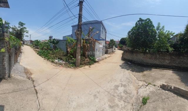 Bán đất tại xã Tiền Phong, Yên Dũng, Bắc Giang diện tích 204m2
