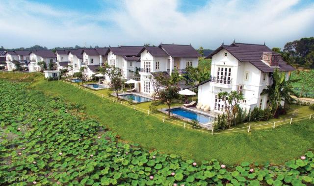 Bán suất ngoại giao biệt thự Vườn Vua Resort, view trực tiếp đầm sen, có bể bơi trong nhà giá 6 tỷ