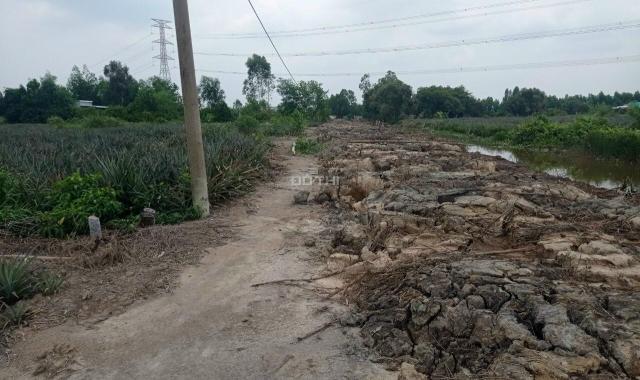 Bán đất ấp Hưng Phú - Xã Hưng Thạnh - Huyện Tân Phước - Tỉnh Tiền Giang, 1.3ha, 2,6 tỷ