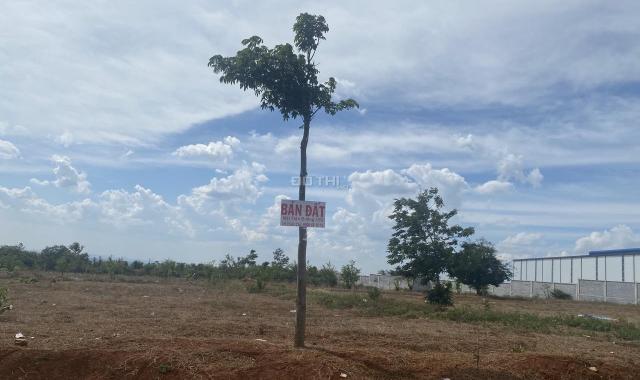 Bán đất tại Xã Cư Ebur, Buôn Ma Thuột, Đắk Lắk diện tích 5029,9m2