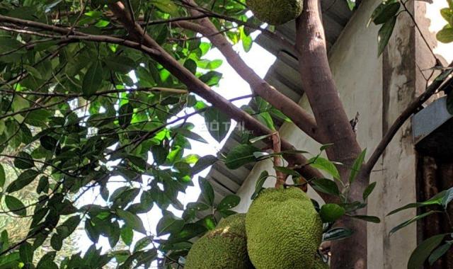 Cổ điển, cây trái giữa Sài Gòn, 196m2, 23 tỷ, Lê Trực, Bình Thạnh