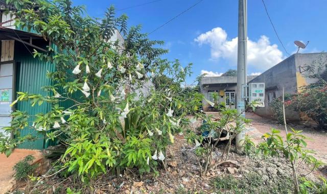 Bán đất chính chủ tại Suối Thông A2 - xã Đạ Ròn - Đơn Dương - Lâm Đồng