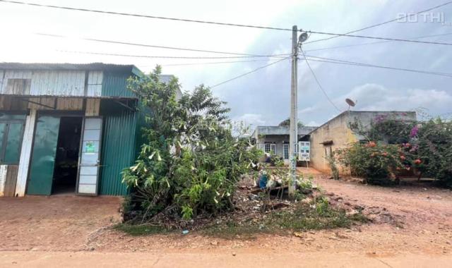 Bán đất chính chủ tại Suối Thông A2 - xã Đạ Ròn - Đơn Dương - Lâm Đồng