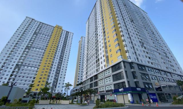 Cần bán gấp căn hộ 2PN 2,4 tỷ nội thất chung cư Diamond Riverside Quận 8