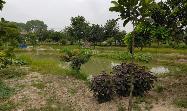 Cần bán gấp trang trại gần dự án Cienco 5 Thanh Hà, chỉ 850k/m2
