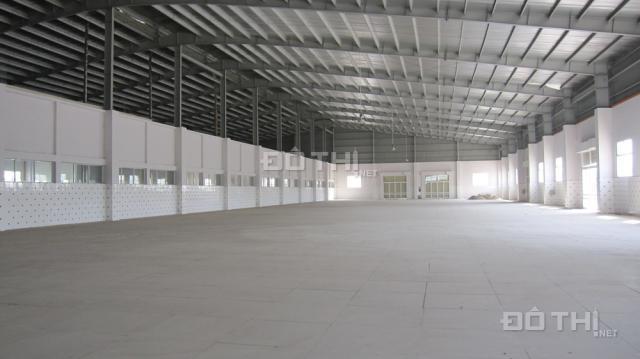 Bán 380m2 đất An Phú Đông Q12 + Thu nhập 240tr