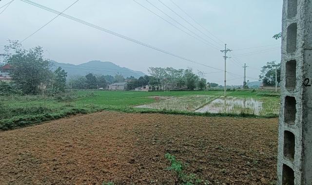 Bán đất tại Xã Yên Trung, Thạch Thất, Hà Nội diện tích 360m2 giá 2.5 tỷ