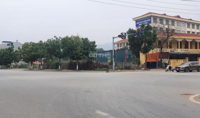 Chính chủ bán đất phường Phả Lại, TP Chí Linh, Hải Dương. 0975640007