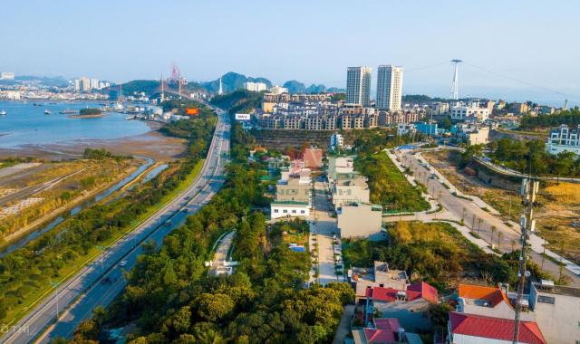 Bán đất nền dự án tại đường Cái Lân, Phường Bãi Cháy, Hạ Long, Quảng Ninh diện tích 120m2 50 tr/m2