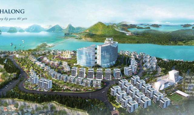 Bán nhà biệt thự, liền kề tại dự án Monaco Hạ Long, Hạ Long, Quảng Ninh diện tích 212.97m2 8.7 tỷ