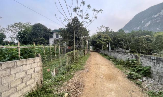 Bán đất tại đường Bưởi, Xã Nam Thượng, Kim Bôi, Hòa Bình diện tích 2100m2 giá 5,65 tỷ