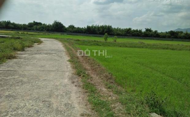 Bán đất nông nghiệp Tân Hòa - Phú Mỹ - Bà Rịa Vũng Tàu