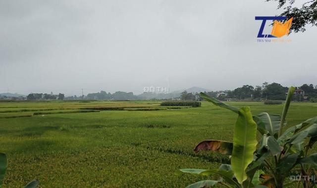 Lô đất đang được chào bán với giá siêu rẻ 430m2 Thanh Thủy Phú Thọ LH: A Tiến 0586.22.9999