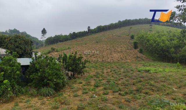 Đẹp miễn chê lô đất 13050m2 Thanh Sơn Phú Thọ giá chưa đến 2 tỷ view cực đẹp LH: A Tiến