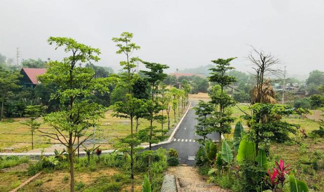 Bán 900 k/ m2 đất Bãi Dài, Tiến Xuân, Thạch Thất, Hà Nội diện tích 2,5 ha cạnh phân lô