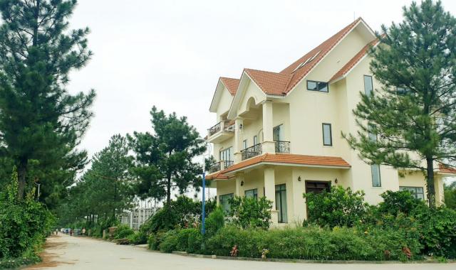 Bán nhà biệt thự, liền kề tại đường Tây Thăng Long, Xã Tân Hội, Đan Phượng, Hà Nội diện tích 400m2