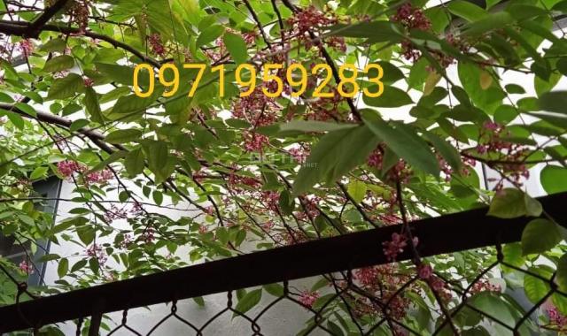 Bán nhà Hoàng Diệu, Hà Đông, Hà Nội diện tích 36m2 giá 4.2 tỷ