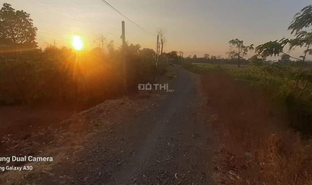 Bán đất tại Xã Ea M'nang, Cư M'gar, Đắk Lắk diện tích 1500m2