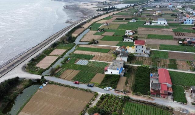 Bán mảnh đất 3000m2 xây biệt thự nghỉ dưỡng ngay biển Liên Phong, Huyện Giao Thủy