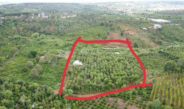 Chính chủ cần bán đất tặng nhà ngay tt xã Đắk N'Drót - Đắk Mil - Đắk Nông