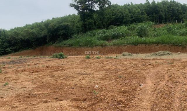 Chính chủ gửi bán lô đất Thanh Sơn, diện tích 2065m2, full thổ cư, 3,5 tỷ, mặt tiền 76m
