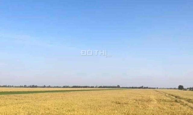 Chính chủ cần bán 28.5 công đất ruộng giá rẻ xã Tà Đảnh - Tri Tôn - An Giang