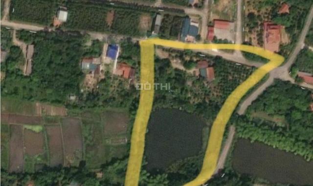 Bán đất tại đường Hùng Vương, Xã Hy Cương, Việt Trì, Phú Thọ diện tích 1500m2