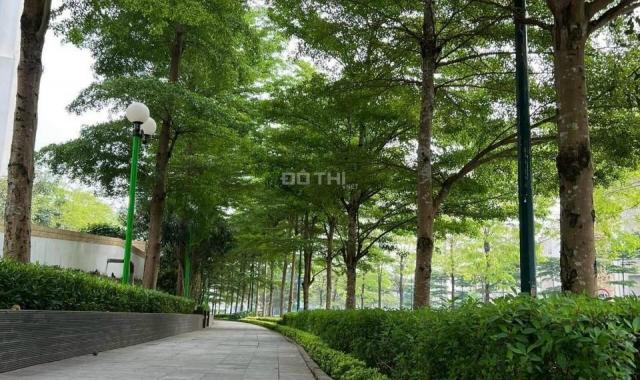 Bán biệt thự Ciputra Tây Hồ 126m2, 3 tầng, full đồ nội thất, gần trường Hà Nội Academy, sân vườn