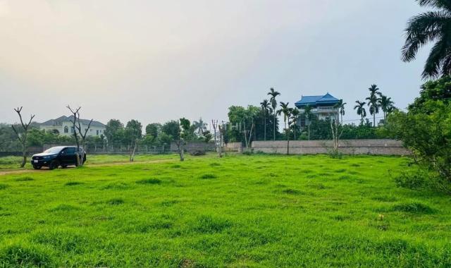 Đất nghỉ dưỡng 3500m2 Quốc Oai, Hà Nội bám hồ