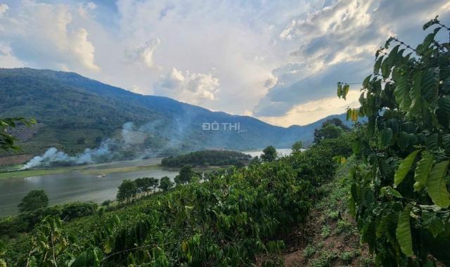 Chỉ với 1.7 tỷ sở hữu hơn 6 sào view hồ