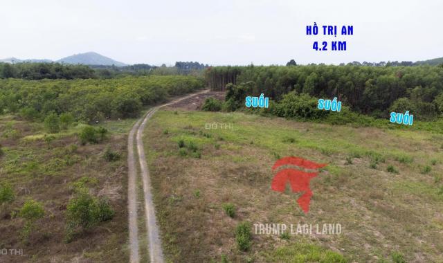 Bán gấp 2000m2 (100m2 thổ cư) xã Thanh Sơn, Định Quán, Đồng Nai. Sổ hồng riêng, giá rẻ