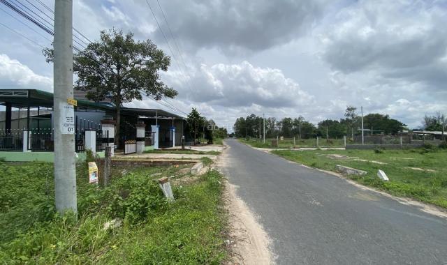Bán Đất Biển 13,8x75m (1031m2, 100m thổ cư) đường Nguyễn Thông, xã Tân Bình, TX LaGi. Giá NGỢP