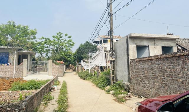 Bán đất tại đường Đồng Lai, Xã Hiền Ninh, Sóc Sơn, Hà Nội diện tích 133m2 giá 12.5 triệu/m2