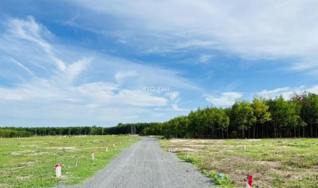Siêu rẻ bán lô đất kế sân bay Lộc An - Đất Đỏ - BRVT DT 222m2 ngang 7x32m sẵn 100m2 TC