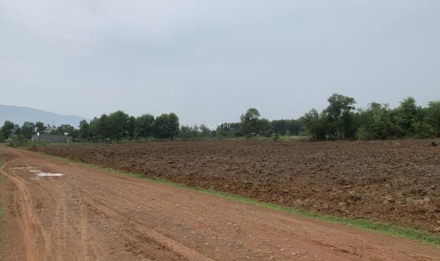 Bán nhanh 4,5 ha đất CLN tại Xuân Bắc, Xuân Lộc