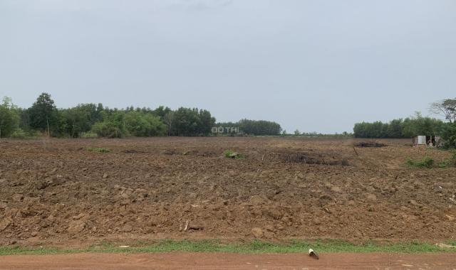 Bán nhanh 4,5 ha đất CLN tại Xuân Bắc, Xuân Lộc