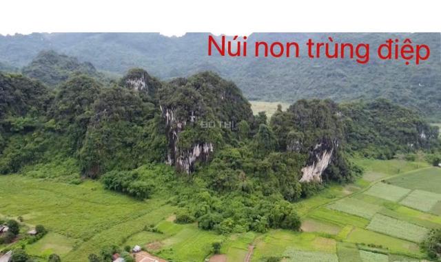 Bán đất view đẹp, giá rẻ 2800m2/200m2 TC giá 1,2 tỷ tại Mỹ Hòa - Tân Lạc - HB, LH 0982876689