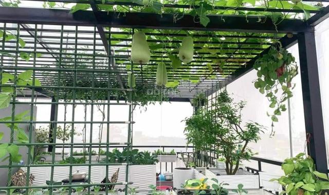 Bán căn hộ sân vườn siêu rộng 2PN-2WC 98m2, tòa Sky Forest 2 - KĐT Ecopark, 3.3 tỷ
