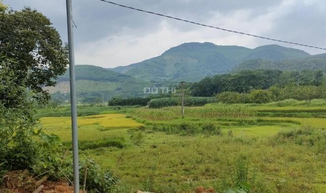 15000m2 giá chỉ 1,6 tỷ đất tại Kim Bôi, Hòa Bình