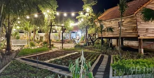 Một siêu phẩm nhà vườn ngay trung tâm thành phố Buôn Ma Thuột, Đắk Lắk