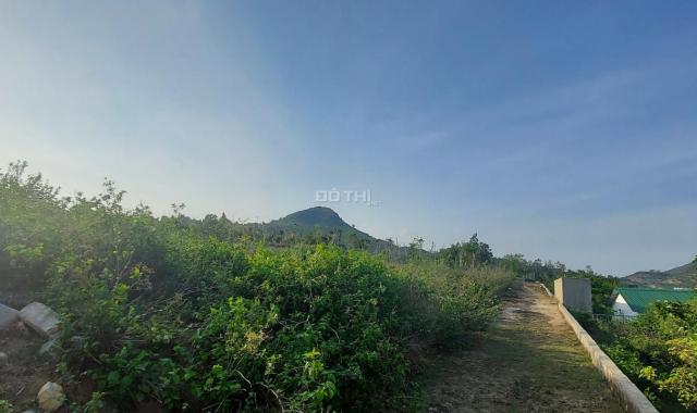 Bán đất Tây Bắc - Vĩnh Hải, Nha Trang 228,6m2 giá cả thương lượng phải chăng