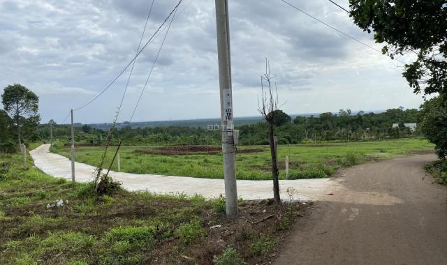 20x135m MT tại Hàng Gòn, Long Khánh SHR giá ngộp